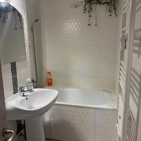 Gazde/Camere de închiriat Garsoniera Centru *